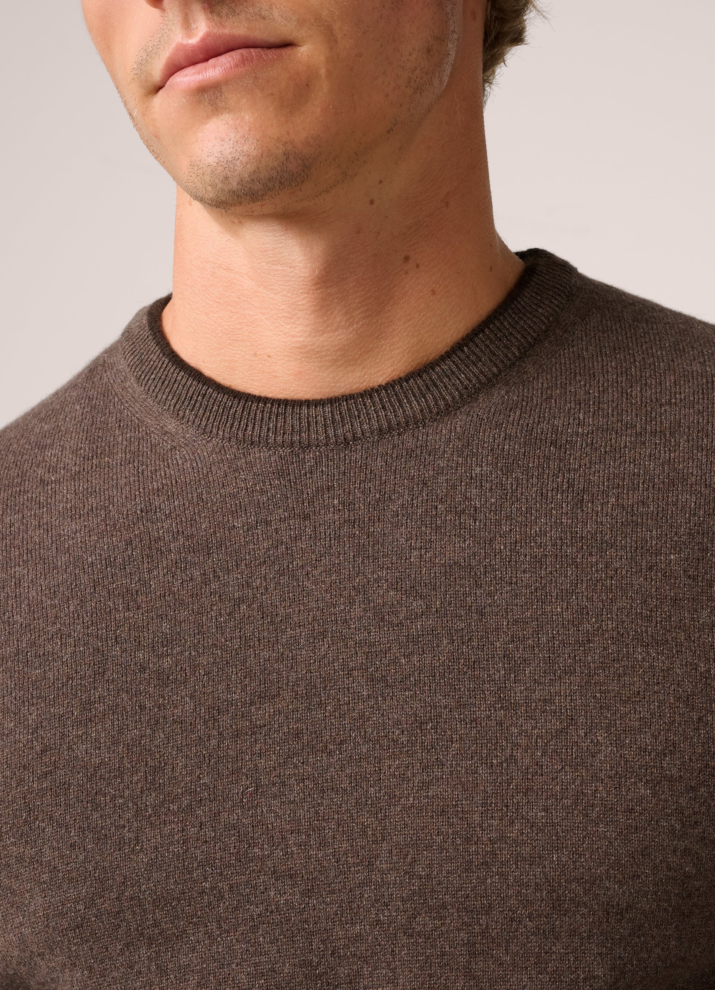 Crew Neck Knit Sweater - Cashmere - Chocolate Brown